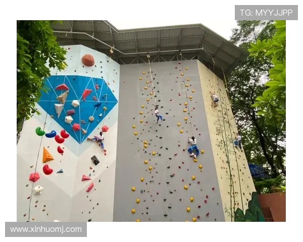 广州攀岩队个人能力分析及其对团队整体表现的影响研究