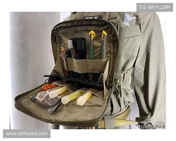 成都飞盘队的整体压制策略揭秘与战术分析深度探讨 成都飞盘队的整体压制策略揭秘与战术分析深度探讨